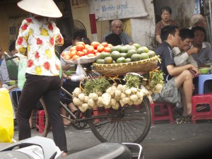 sapa woman w bike