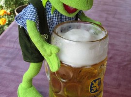 kermit drinks beer