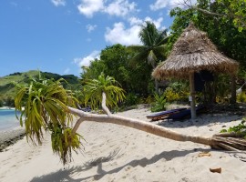 fiji beach